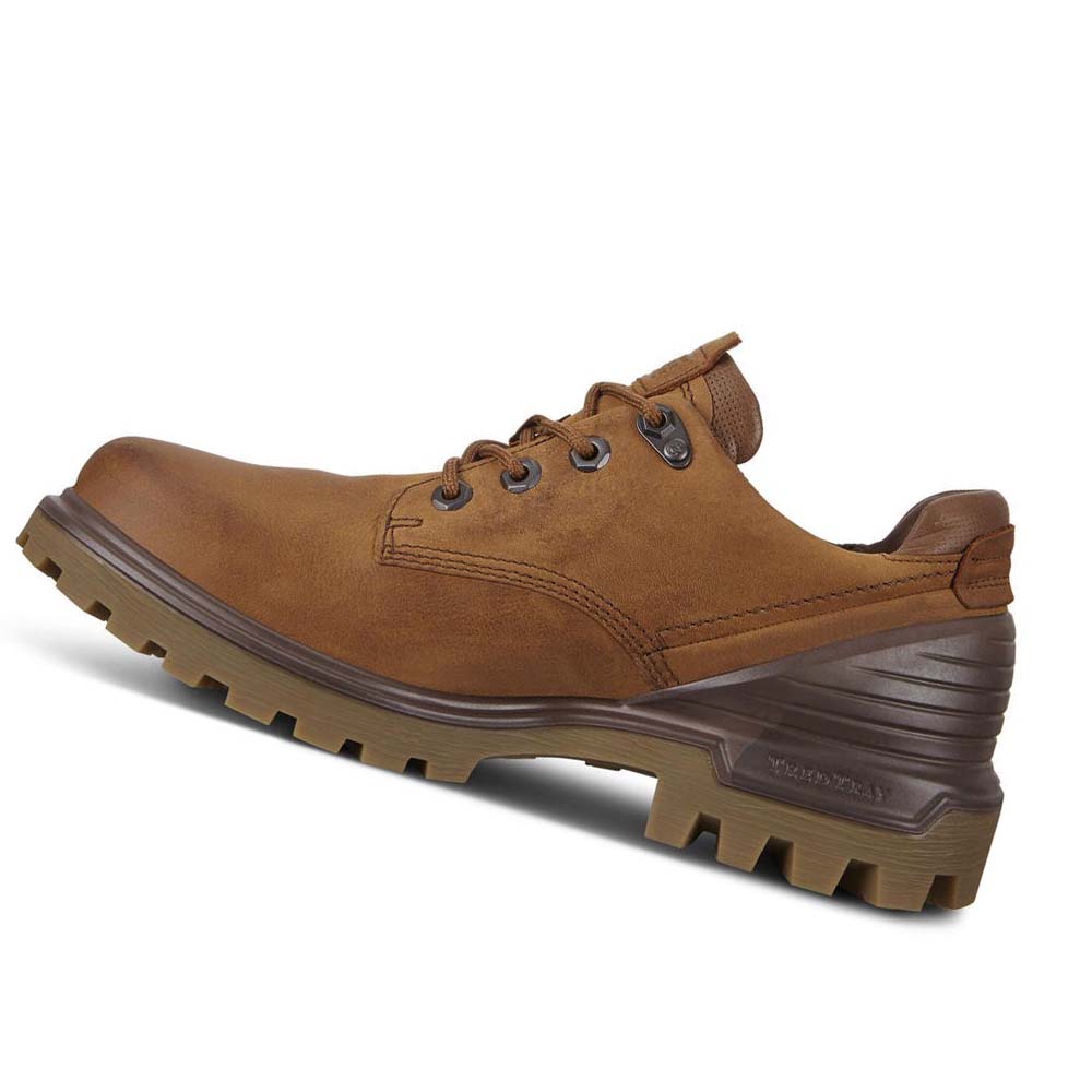 Férfi Ecco Tredtray Hiking & Trail Barna | HU 575PJJ